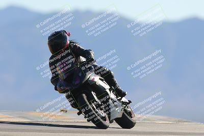 media/Nov-11-2023-SoCal Trackdays (Sat) [[efd63766ff]]/Turn 9 (1pm)/